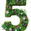 5doodads5